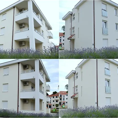 Iris * Kaštela