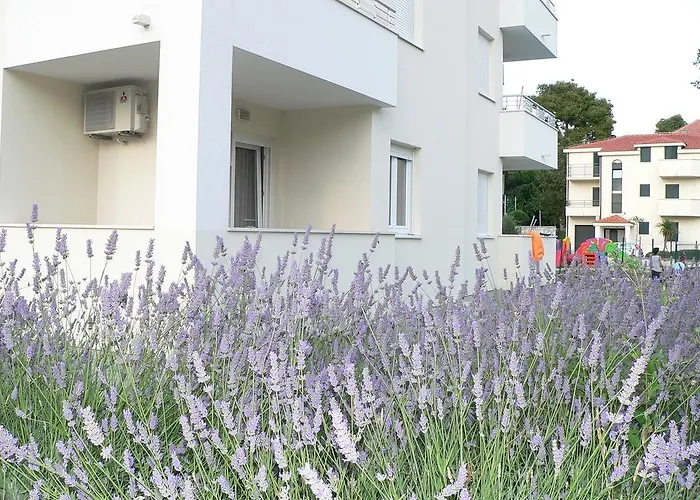 Appartamento Iris *